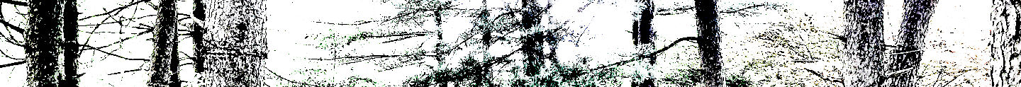 KakaoTalk_20220726_182649289_18_edited_e
