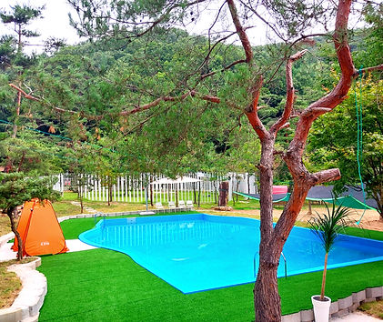 20250704_100707_edited.jpg