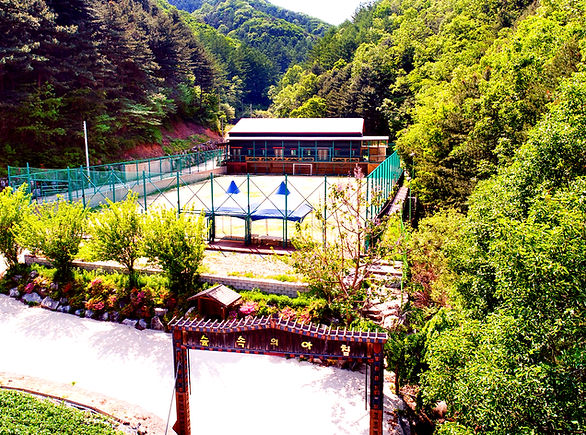 숲속의아침 (3)_edited_edited.jpg