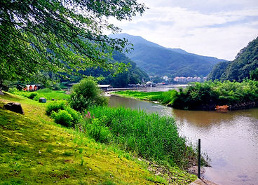 20260719_164637_edited.jpg