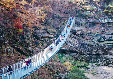 Screenshot 2025-09-11 at 22.12.59.JPG