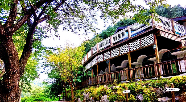 Resized_20240810_154820_edited_edited_ed