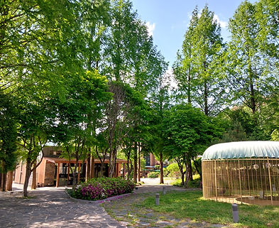 20260504_150119_edited.jpg