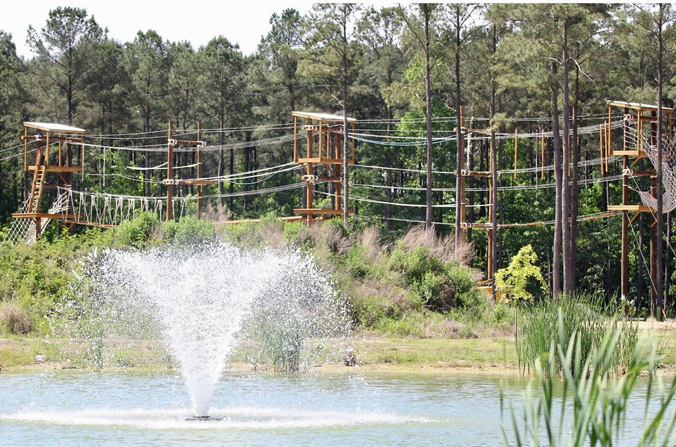 Rejuvenate in Perquimans County: A Local Guide to Fitness & Adventure