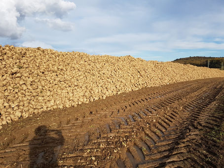 Ausgleichsmaßnahmen dort, wo sie am dringendsten sind!