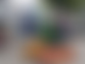 Jahreshauptversammlung staunt über Vielzahl der Themen in Wiesenbach