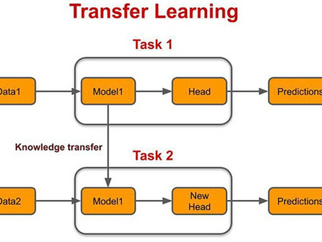Transfer Learning in AI: Making Models Smarter with Less Data