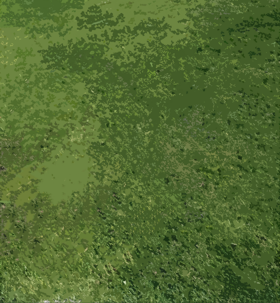 grass vextor_edited.png