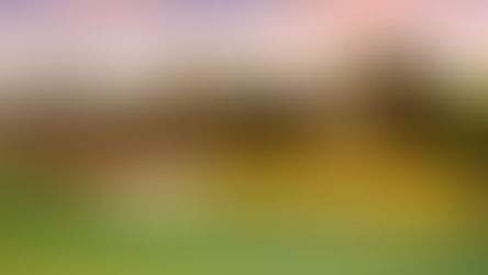 Delapre Golf Course at sunset