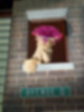 Avenue Q Puppet hire