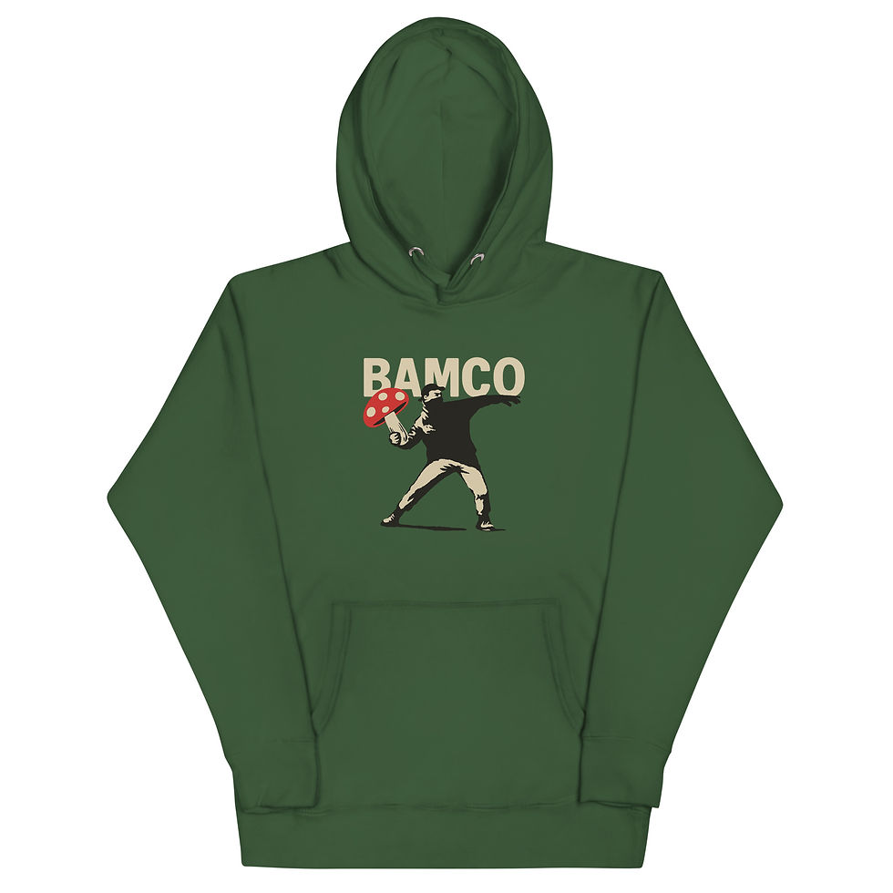 Thumbnail: BAMCO "Throwing Light in a Dark World" Hoodie