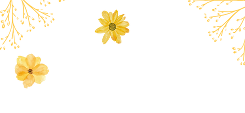 Design sem nome (82).png
