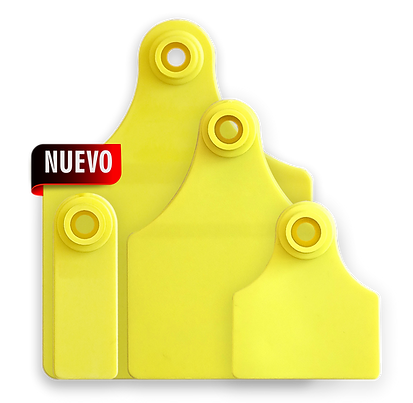 Aretes Amarillos.png