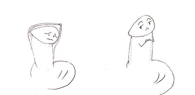 【推荐吉隆坡及柔佛专业整形医院】2023｜无痛订书机去包皮手术，手术你可能遇到的诸多问题 ，我们替你想到了：20 TIPS 让你更了解手术，医生资历，参考价格，手术日记，完整手术资讯让您减少疑虑不踩雷