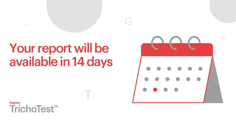 17.-Your-report-will-be-available-in-14-days-1024x538.jpg