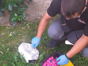 Periyodik İlaçlama