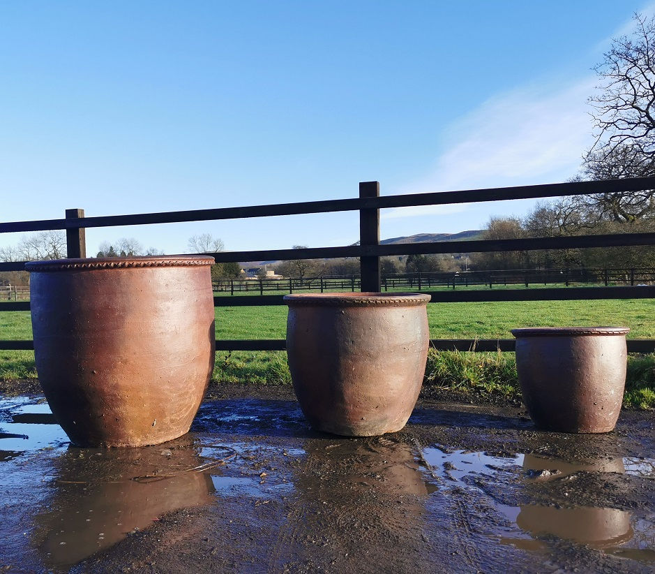 Tall Scallop Rim Garden Planter