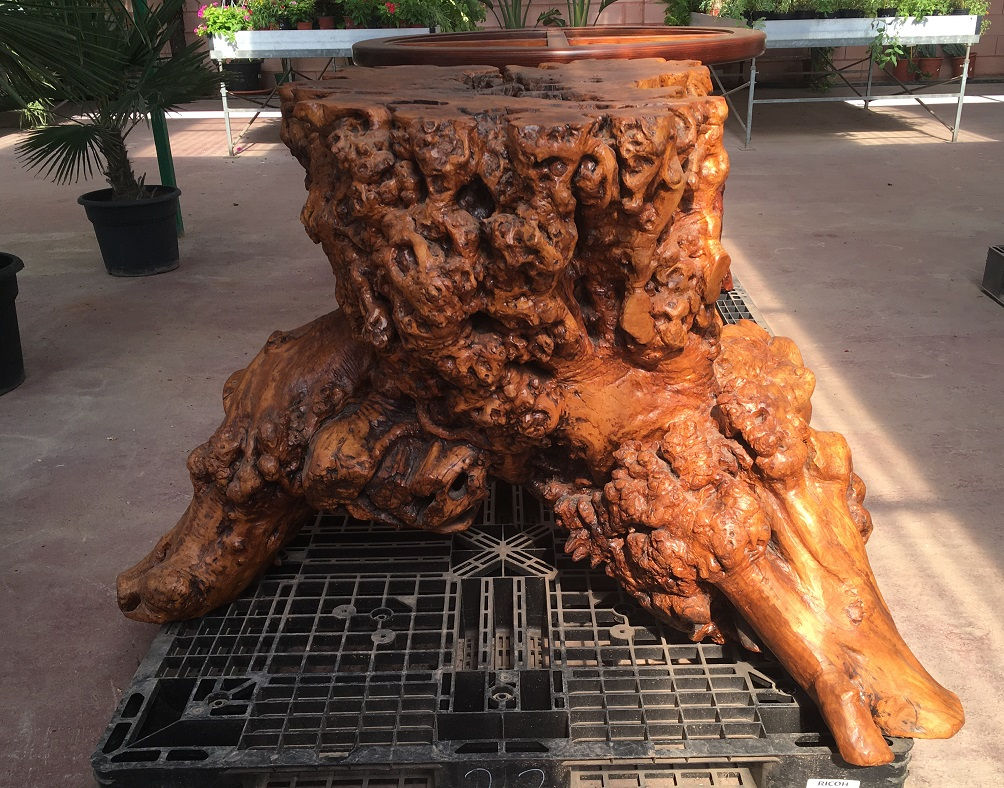 Ancient Olive Root Table. Free UK Delivery