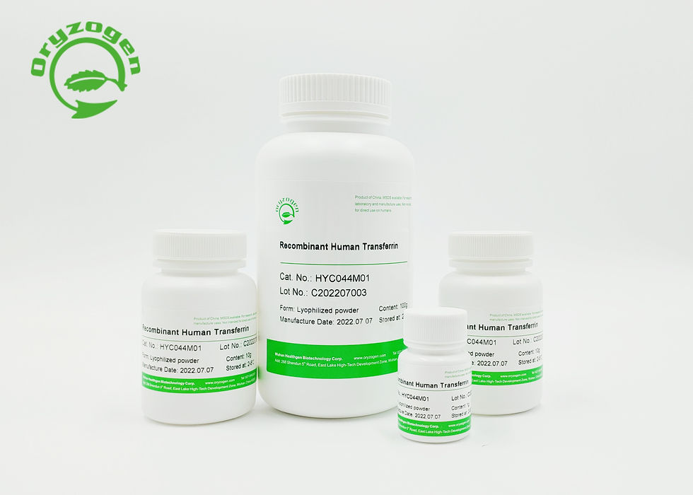 Thumbnail: Recombinant Human Transferrin (holo) (plant-derived)