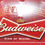 Miniatura: Budweiser 343ml Six Pack Vidrio