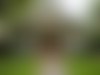 Essential Tips for First-Time Home Buyers in Houston