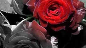 هَزِيمَةُ التّفَاصِيلَ الصّغِيرَة