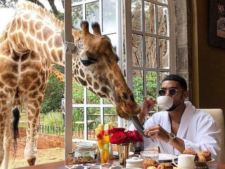 Wellness Retreats in the Wild: Top Nature-Infused Escapes in East Africa