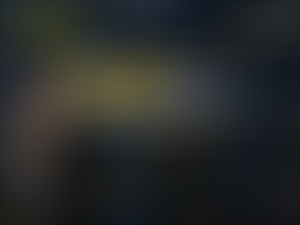 Peran CFO dan Akuntan dalam Dunia Keuangan Bisnis