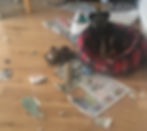 A puppy after ripping up a newspaper