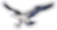 22702487-72fc-46ca-91c2-8727ec12dddb_edited_edited_edited_edited.png