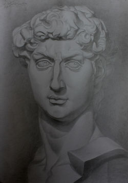 STUDY OF A DAVID