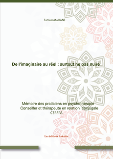 Mémoire surtou ne pas nuire.png