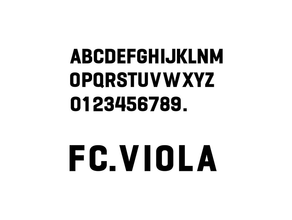 norun_fcviola_vici3.jpg