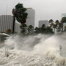 Screenshot 2026-02-25 at 12.16.56 PM.png