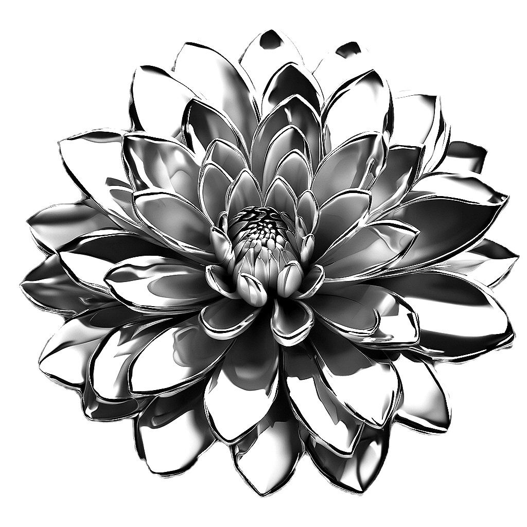 chrome dahlia simple.png