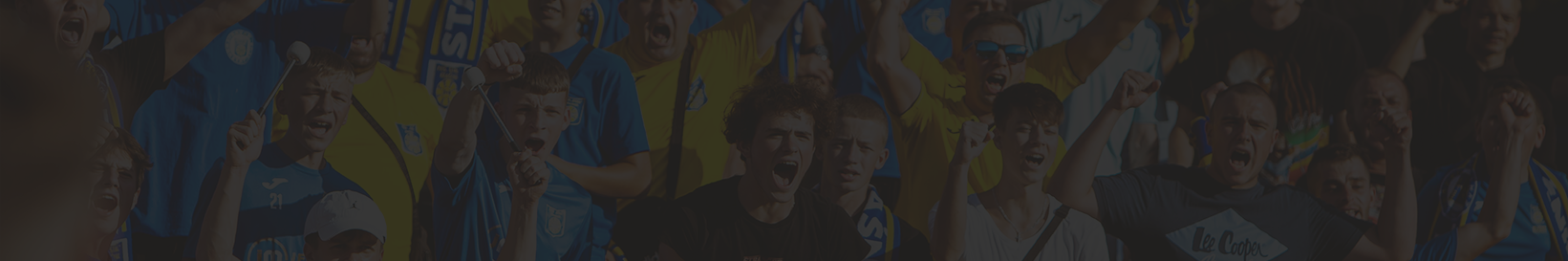 Paski Strony PPV Szare.png