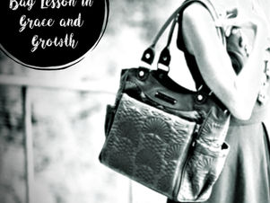 A Diaper Bag Lesson in Grace and Growth!