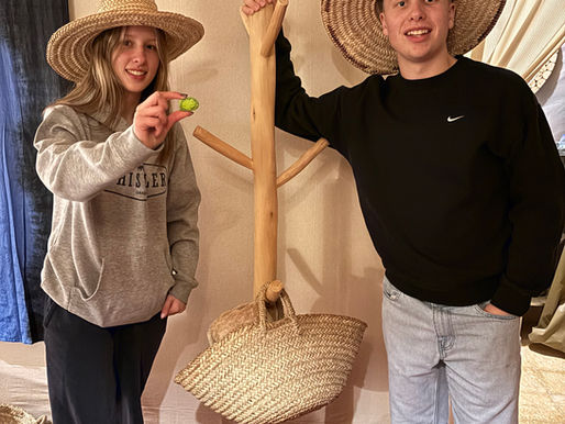 Rock 1546 - Found by Rose in the Moroccan Desert and on its way to Chateauguay, Canada after previous bein found by Jeremy in 2025