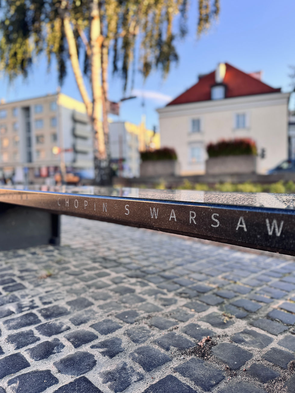 Panchina musicale interattiva dedicata a Fryderyk Chopin, situata a Varsavia; incorpora un pulsante che riproduce brani del compositore, con una targa informativa e un design ispirato alla musica classica.