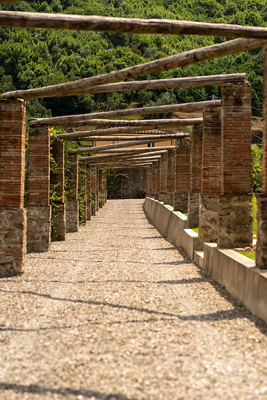 Pergola VM.jpg