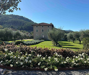 Ingresso Vm.jpg