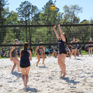 Struggle on the Sand