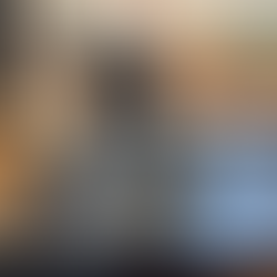 An Evolutionary Experience