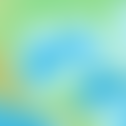 Gulf of Mexi-merica?