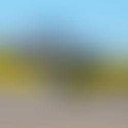 Is Spirit Finally Crashing?