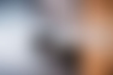 Frühling, Fotografie und ein neuer Vereinsrhythmus - GV 2026