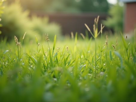 Natural Pet Pest Solutions: Chemical-Free Pest Solutions for Pet Owners