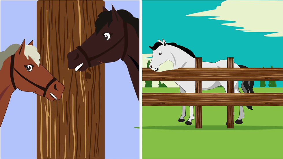 Thumbnail: Chew Breaker