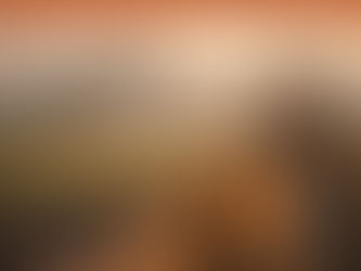 India Reflections: Part 4 - Where do the animals go? (#559)