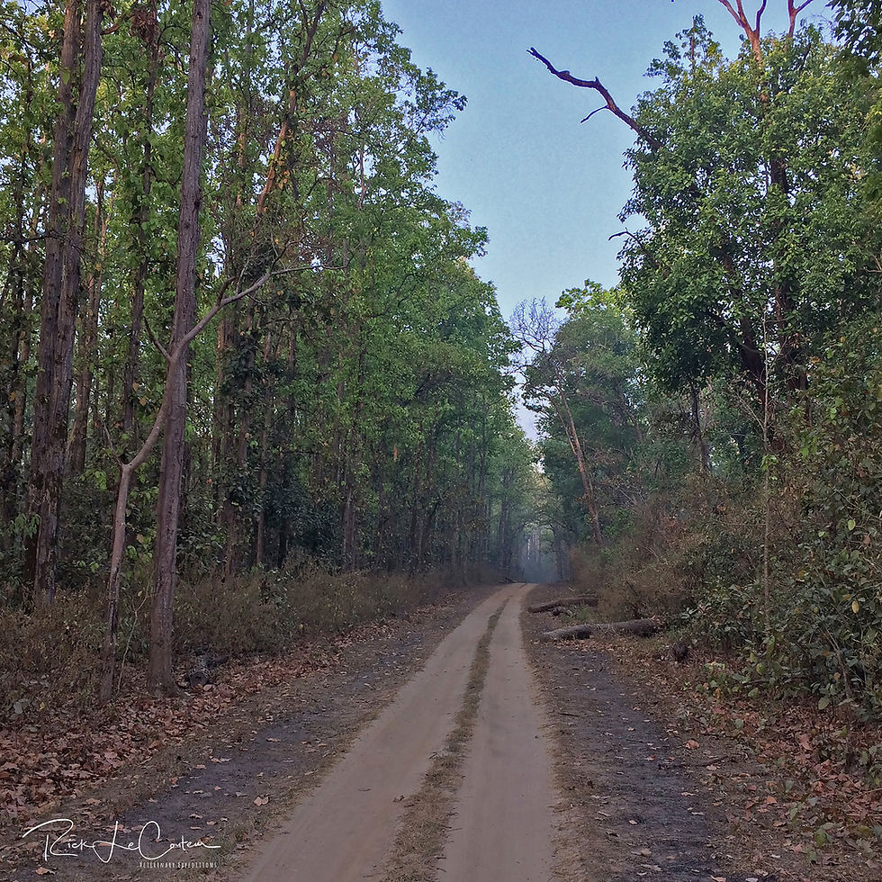 India: Part 8 of 8 - Facts [What is actually useful?] (#490)